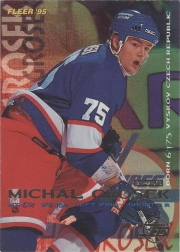 1994-95 Fleer - Michal Grosek #241