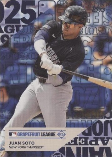 topps WBC フアンソト　レリックオート　JUAN SOTO　25シリアル topps WBC フアンソト レリックオート JUAN SOTO 25シリアル