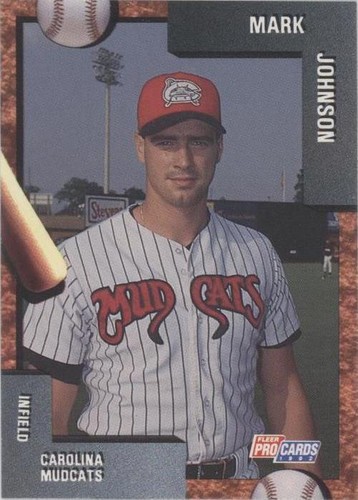1992 Fleer ProCards Minor League - Mark Johnson #1187