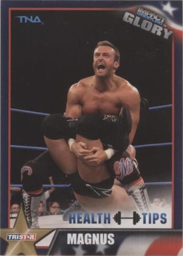 2013 TRISTAR TNA Impact Wrestling Glory - Magnus #37