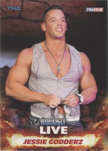 2013 TRISTAR TNA Impact Wrestling Live - Jessie Godderz #15