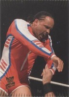 2007 Topps WWE Action - MVP #45