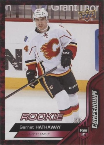 2016-17 Upper Deck Compendium - Garnet Hathaway #844