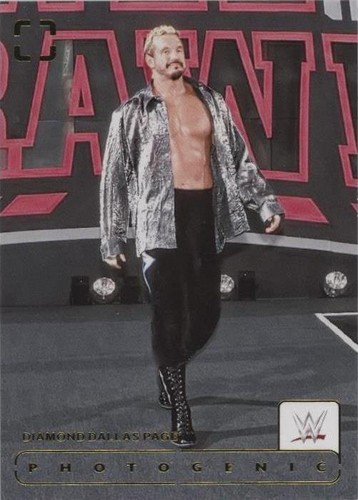2024 Panini Photogenic WWE - Diamond Dallas Page #139