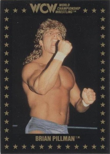 1991 Championship Marketing WCW - Brian Pillman #11