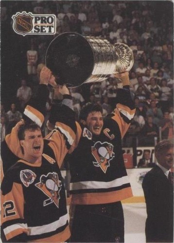 1991-92 Pro Set - Mario Lemieux #318