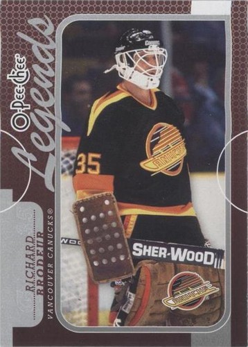2008-09 O-Pee-Chee - Richard Brodeur #564
