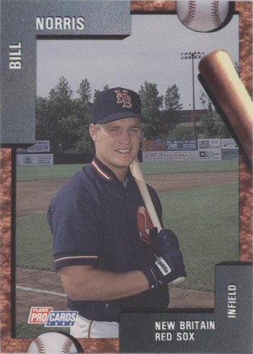 1992 Fleer ProCards Minor League - Bill Norris #442