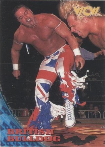 Scott Steiner 1998 Panini WCW NWO Superstars Photocards Wrestling