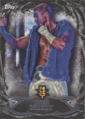 2015 Topps WWE Undisputed - Tyler Breeze #NXT 12