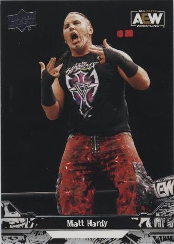2023 Upper Deck AEW All Elite Wrestling - Matt Hardy #28