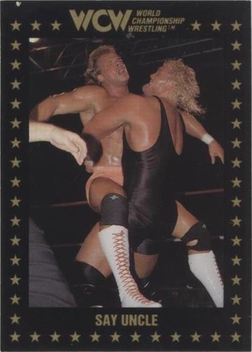 1991 Championship Marketing WCW - Sid Vicious #50