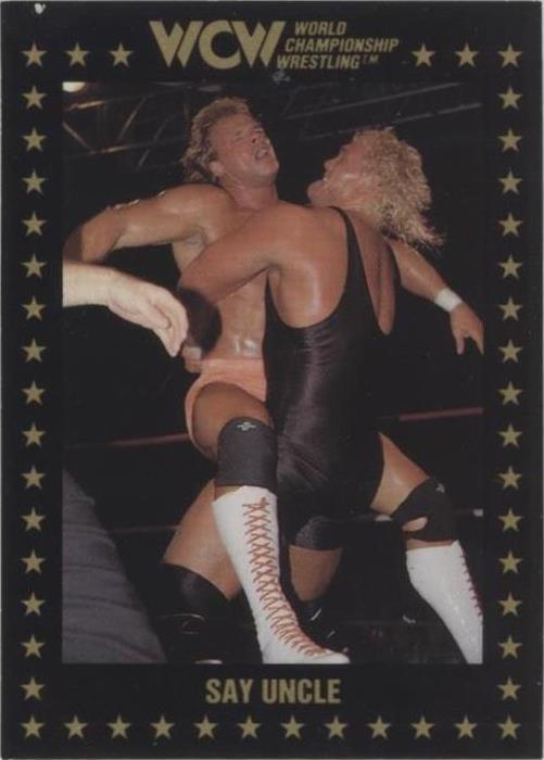 1991 Championship Marketing WCW - Sid Vicious #50