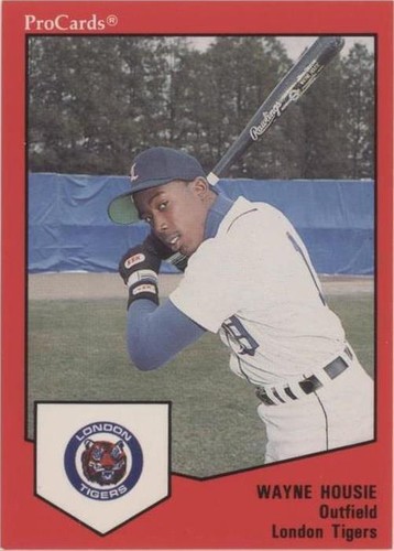 1989 ProCards Minor League Team Sets - Wayne Housie #1382