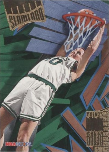 1995-96 NBA Hoops - Dino Radja #SL4