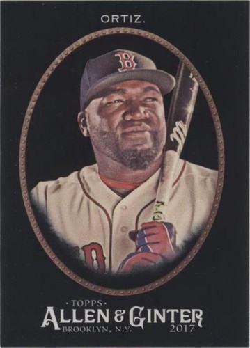 2017 Topps Allen & Ginter's X - David Ortiz #154