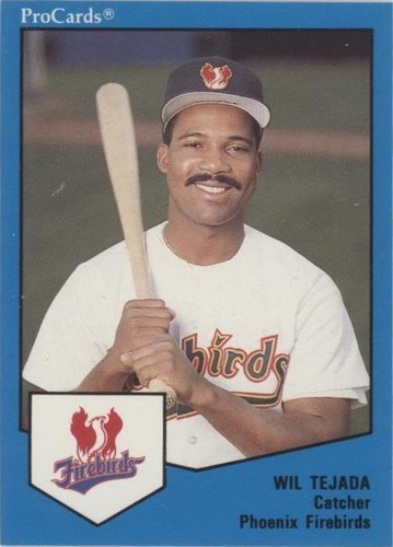 1989 ProCards Minor League Team Sets - Wilfredo Tejada #1489