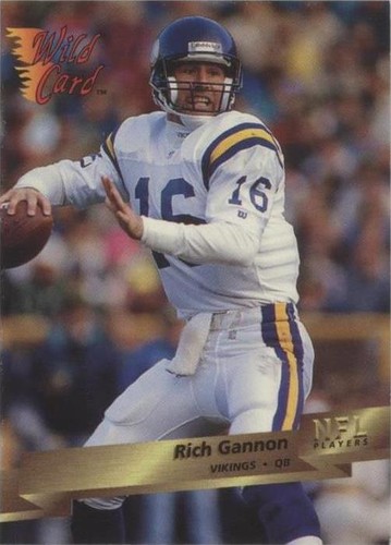 1993 Wild Card Rich Gannon #198