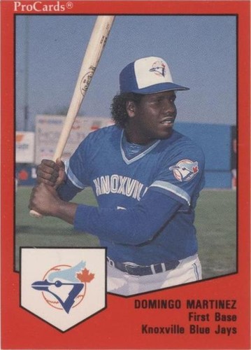 1989 ProCards Minor League Team Sets - Domingo Martinez #1148
