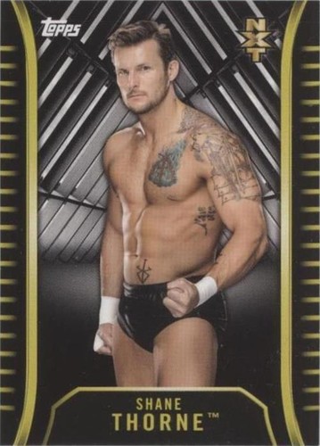 2018 Topps WWE NXT - Shane Thorne #R-29