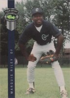 1992 Classic Four Sport Draft Pick Collection Baseball Trading Cards