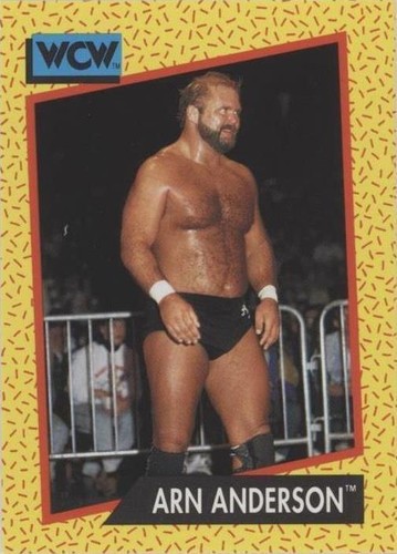 1991 Impel WCW - Arn Anderson #48