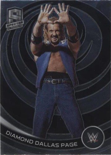 2023 Panini Chronicles WWE - Diamond Dallas Page #382