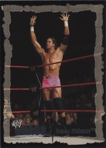 2004 Fleer WWE Chaos - Stevie Richards #8