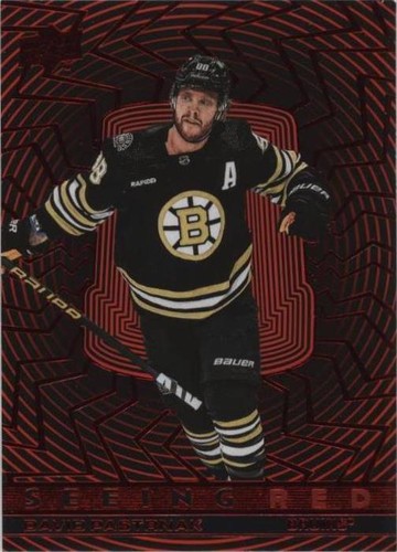 2023-24 Upper Deck Extended Series - David Pastrnak #SR-71