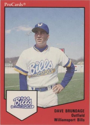 1989 ProCards Minor League Team Sets - Dave Brundage #642