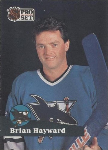 1991-92 Pro Set - Brian Hayward #327