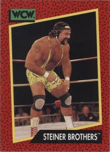 1991 Impel WCW - Rick Steiner Scott Steiner Steiner Brothers #105