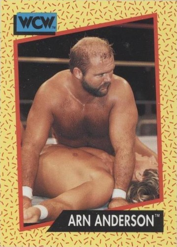 1991 Impel WCW - Arn Anderson #52