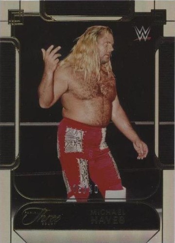 2024 Panini Three Count WWE - Michael Hayes #114