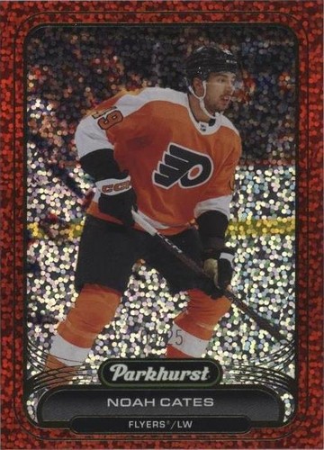 2023-24 Upper Deck Parkhurst - Noah Cates #212