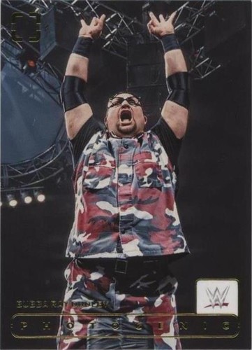 2024 Panini Photogenic WWE - Bubba Ray Dudley #138
