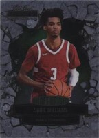 2021-22 Wild Card Alumination - Ziaire Williams #DD-50