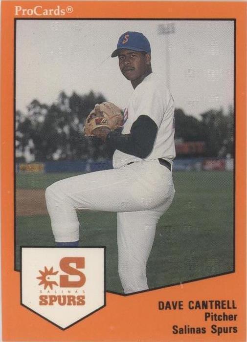 1989 ProCards Minor League Team Sets - David Cantrell #1826