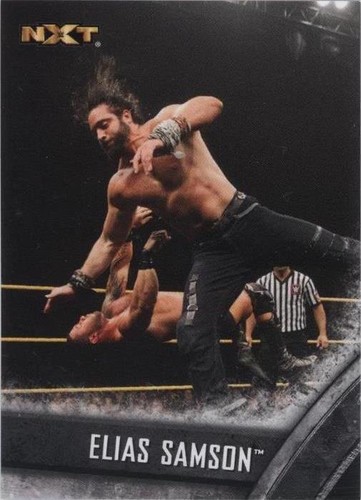 2016 Topps WWE NXT - Elias Samson #10