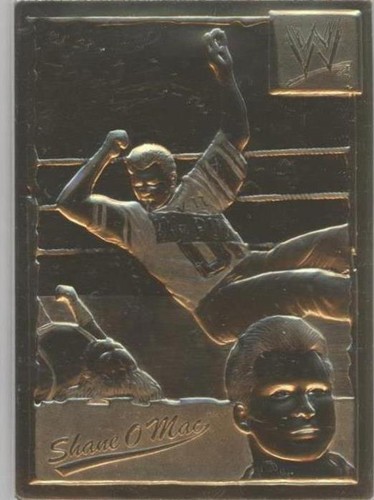 1999-2005 Danbury Mint 22k Gold WWF/E - Shane McMahon #32