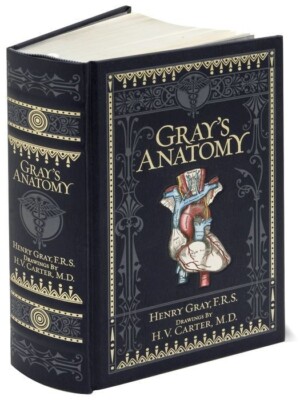 Gray's Anatomy by Henry Gray (Deluxe, Collectible Edition, Leatherbound)