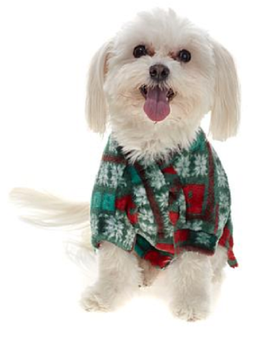 Soft Cozy Holiday Pet Angel Wrap For Small Breed Dogs, Green