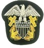 Badge USN Hat 2.jpg