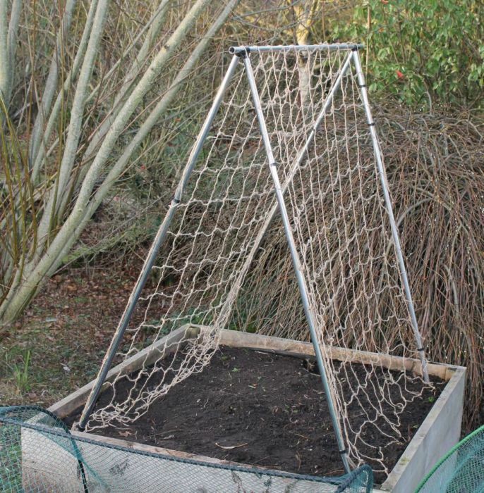 Mini Pea and Bean Frame Perfect Support for Climbing Vegetables and