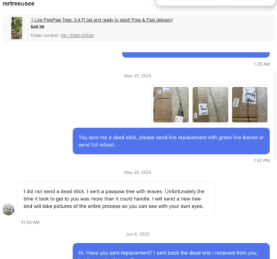 Item photo(s) from verified buyer