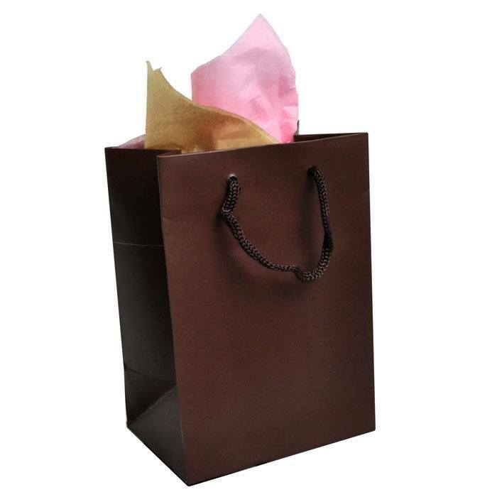 Paper Bag Gift Shopping Bags with handles Paper Gift Bags ~ 11 Colors 4 Sizes
