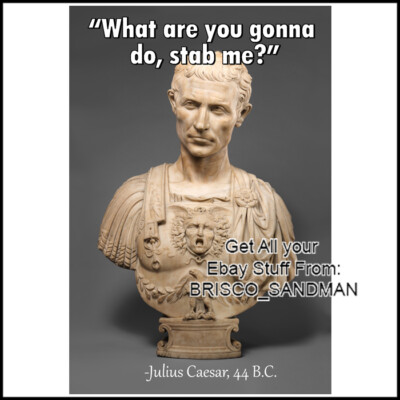 Fridge Fun Refrigerator Magnet ''WHAT ARE YOU GONNA DO, STAB ME?'' Julius Caesar