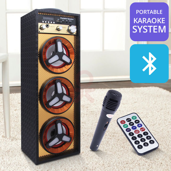 Speaker Cassa Portatile RX-M3 Bluetooth Con Microfono Karaoke Radio Aux SD hsb