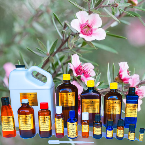 Tree Essential Oil - 100% Pure Natural - Sizes 3 Ml To 1 Gal