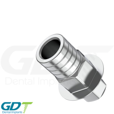 CAD/CAM Anti Rotational Titanium Base Internal Hex Dental Im plant GDT